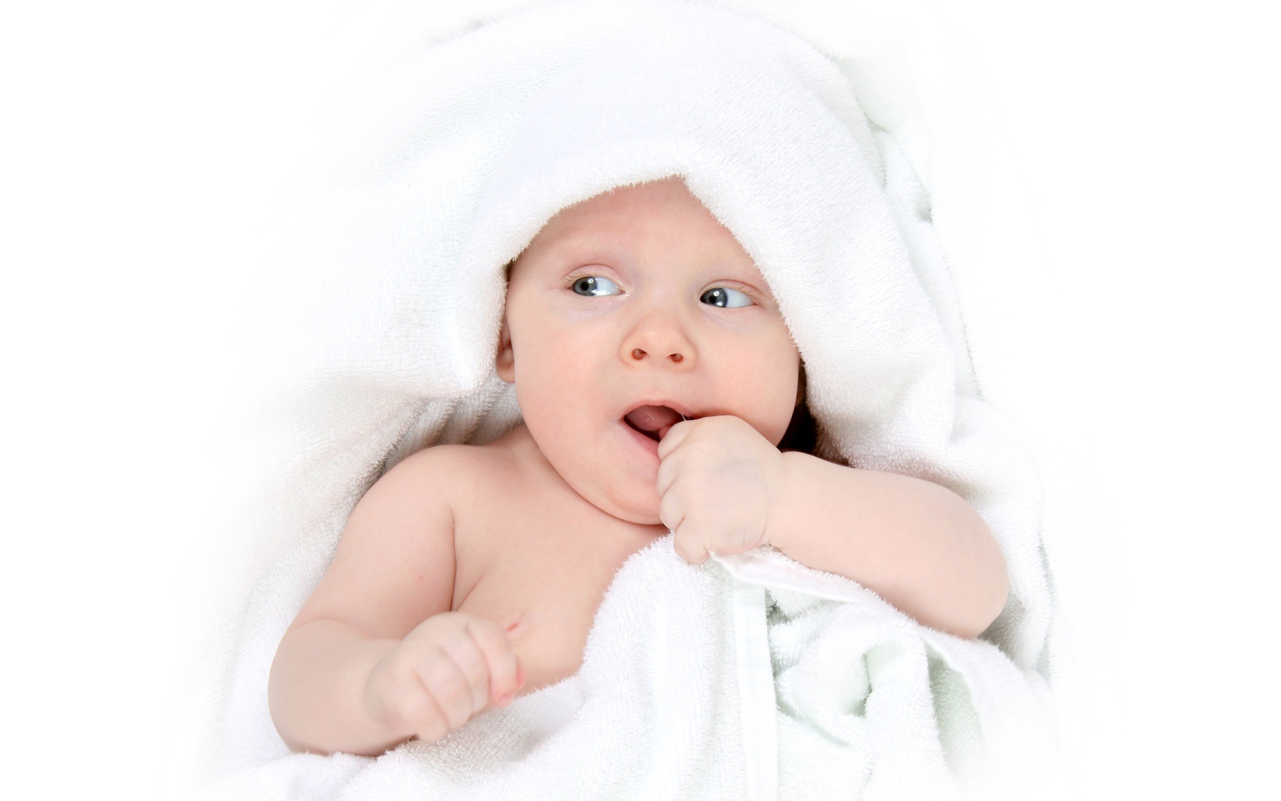 哈尔滨助孕供卵试管婴儿第二代的成功率